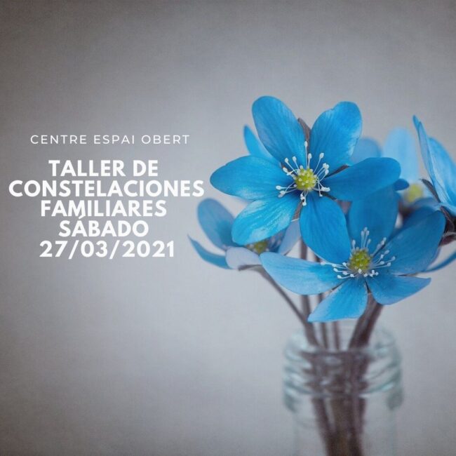 TALLER DE CONSTELACIONES FAMILIARES SÁBADO 21_12_2019 (1)